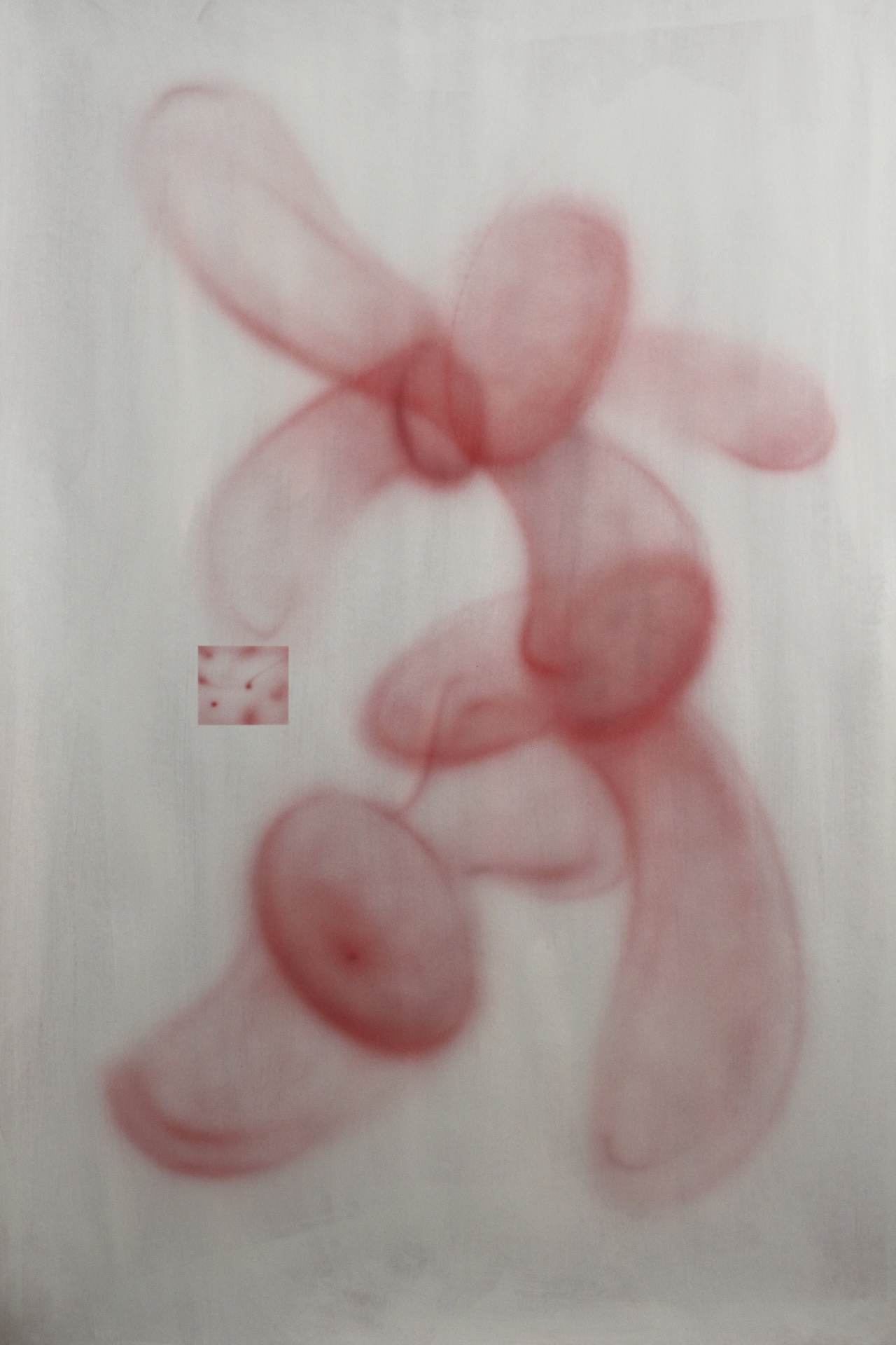 Variation on Paper 1